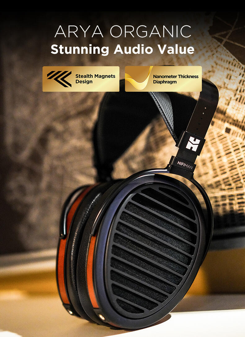 Hifiman (Arya Organic) headphones.